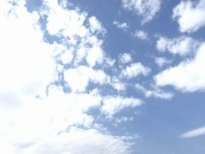 青々とした空