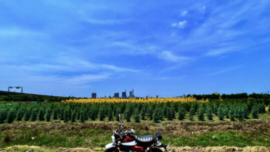 目的地を決めずに走る散歩ツーリング